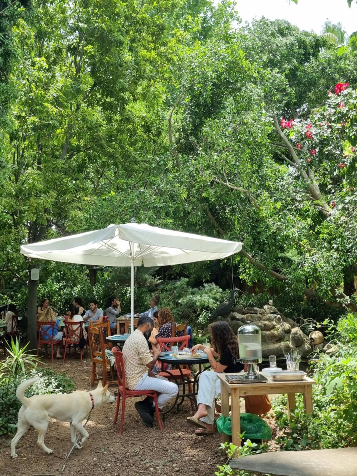 Vitrage Holiday Village And Spa Bet Hillel Luaran gambar